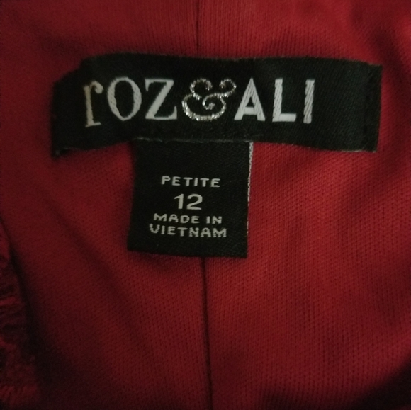 👗 Roz & Ali Dress - Picture 2 of 7